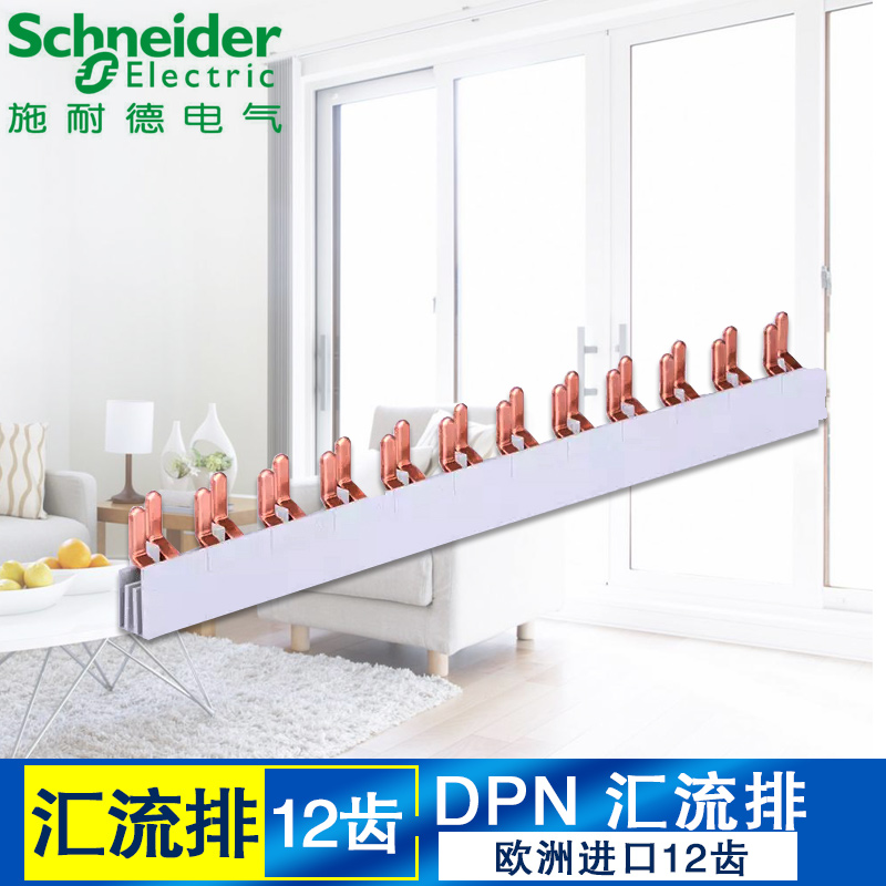 施耐德 欧洲进口 汇流排铜排12回路 接线排铜牙DPN双进双出断路器|ruв категории электронный/электрик, электротехническая арматура, автобус - от Buy2taobao.com для оказания профессиональной услуги покупки агента Taobao