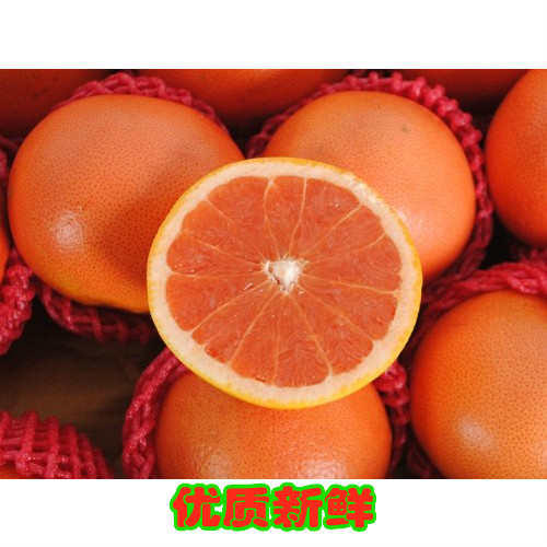 西柚南非西柚1个深圳新鲜优质水果同城配送关内市区快至2小时送达在类目 水产肉类/新鲜蔬果/熟食, 新鲜水果, 其它中 - 来自Buy2taobao.com提供专业的淘宝代购服务