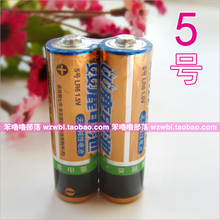 正品金雙鹿電池 堿性5號電池AA堿性電池幹電池 1節價格不議價在類目 3C數碼配件, 乾電池/充電電池/套裝, 普通乾電池中 - 來自Buy2taobao.com提供專業的淘寶代購服務