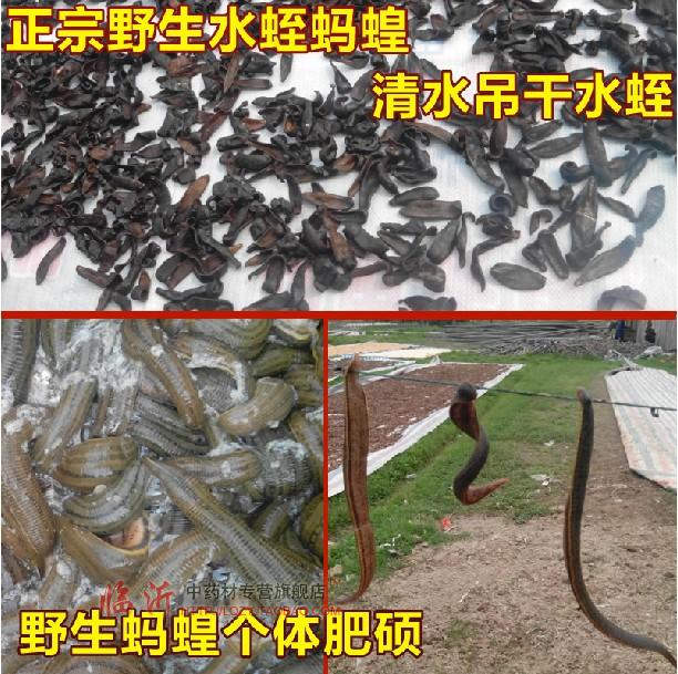 中藥材水蛭幹 吊幹生水蛭幹 螞蟥 免費打水蛭粉可裝膠囊 50克包郵在類目 傳統滋補營養品, 藥食同源食品, 其他藥食同源食品中 - 來自Buy2taobao.com提供專業的淘寶代購服務