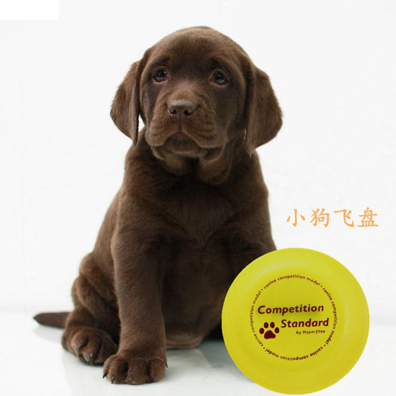 宠物玩具飞盘Jawz飞碟 小型犬比赛标准飞盘幼犬飞盘贵宾泰迪飞盘在类目 宠物/宠物食品及用品, 猫/狗玩具, 飞盘中 - 来自Buy2taobao.com提供专业的淘宝代购服务