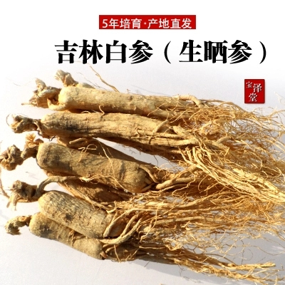 人参生晒参东北特产长白山原皮参吉林白参6年园参全须参干参白参|msdalam kategori makanan berkhasiat tradisional, ginseng tonik, ginseng/ginseng - dari Buy2taobao.com untuk memberikan perkhidmatan ejen Taobao profesional membeli