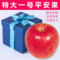 上下架计划:平安果预定圣诞节礼品平安夜苹果圣诞果烟台红富士苹果礼盒装包邮