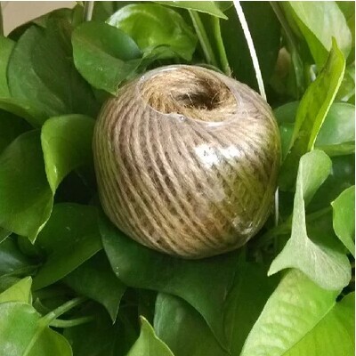 Trumpet rope DIY Handmade hemp 40 rice Three strands rope Primary colour linen rope Yellow ropein the Home Fabric , Sew DIY Material,Tools and finished products , Sew DIY Fitting/Accessories/Accessories , Rope category - from Buy2taobao.com to provide professional Taobao agent buy service