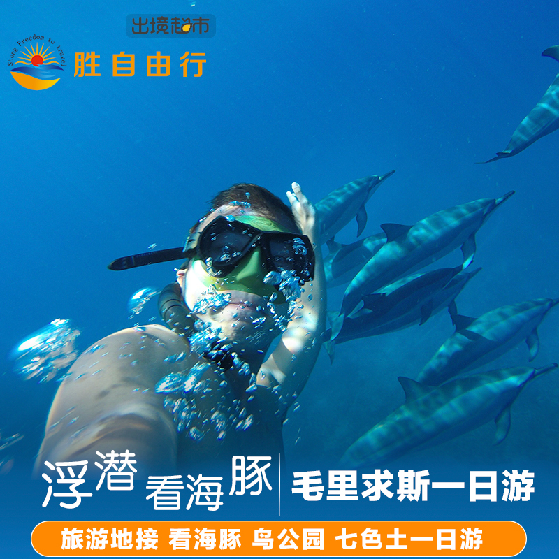 Visit Mauritius one-day tour Tourist destination Dolphin Park Rainbow one-day tourin the Holiday Line/Visas send off/Travel services , Visit/Tuanyou , Overseas local fun category - from Buy2taobao.com to provide professional Taobao agent buy service