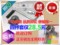 上下架计划:冲冠特价温室大棚配件园艺用品涡轮自动锁铝壳卷膜器卷帘机摇膜器