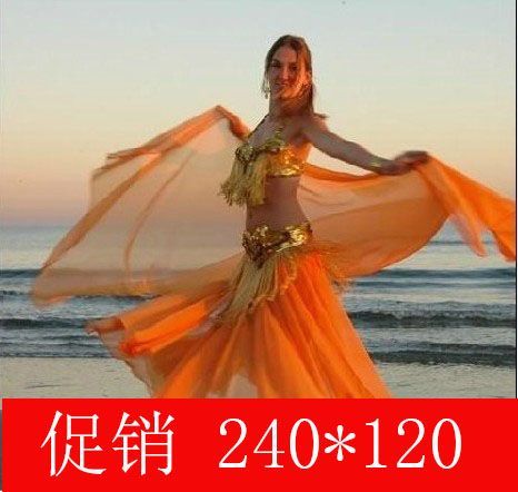 Belly dance scarf new pattern prop Chiffon Egyptian India dance 2.4*1.2 Promotion of 13 elementin the Sports/Yoga/Fitness/Fans supplies , Dance/Aerobics/Gymnastics , Belly dance , Belly Dance Accessories category - from Buy2taobao.com to provide professional Taobao agent buy service