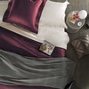 Roz居家馆欧式奢华美式埃及棉四件套 全棉床上用品4件套纯棉 贡缎