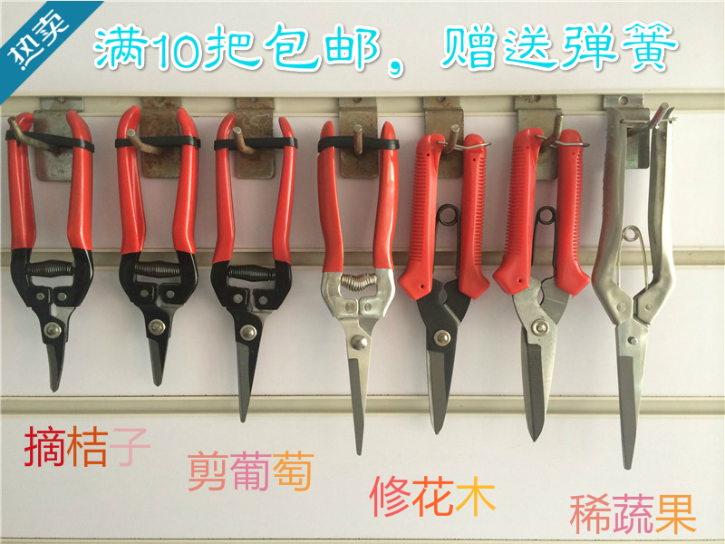 修枝剪 园艺剪刀 葡萄剪 槟榔剪 桔子剪 柑橘剪 稀果剪 采摘果剪