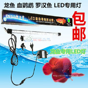 日宝鹦鹉罗汉龙鱼海水鱼LED照明灯水中灯红黄白光鱼红水不红