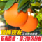 上下架计划:正宗赣南脐橙 精品脐橙 橙子 新鲜孕妇榨汁水果 5斤装可订10 20斤
