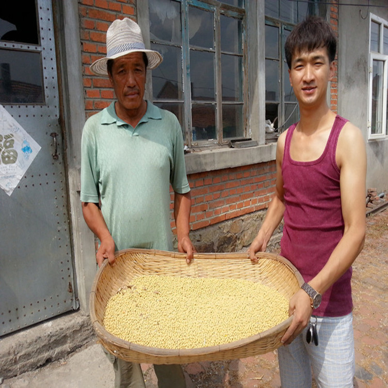 2018 Agricultural by-product specialty Northeast Soybean Farm Soy Bean sprouts Soybean Milk recommend New productsin the Agri rice/Dried foods/Condiment , Meter/Flour/Grains , Beans , Soy category - from Buy2taobao.com to provide professional Taobao agent buy service