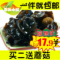 上下架计划:东北野生黑木耳 椴木特级木耳秋木耳大木耳肉厚包邮【石头小镇】
