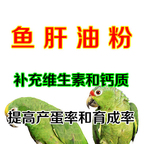 鱼肝油钙粉鸟鹦鹉补充维生素钙质提高产蛋孵化率增强体质 50g