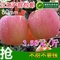 上下架计划:大沙河红富士苹果 10斤装 现摘  的 新鲜水果 非烟台阿克苏