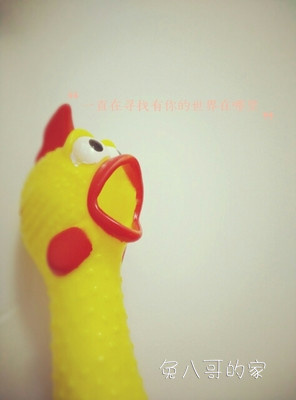兔八哥的家大小号尖叫鸡发泄鸡整人整蛊创意玩具宠物发声玩具柯基在类目 宠物/宠物食品及用品, 猫/狗玩具, 发声玩具中 - 来自Buy2taobao.com提供专业的淘宝代购服务