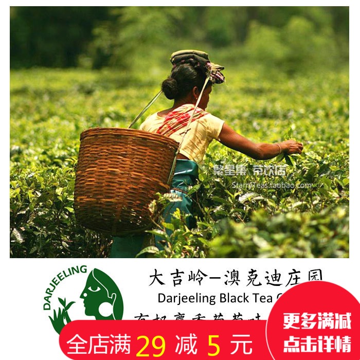 大吉岭红茶 澳克迪Okayti茶庄园 夏摘次摘麝香葡萄味Muscatel红茶在类目 收纳整理, 家庭收纳用具, 收纳包, 其他收纳包中 - 来自Buy2taobao.com提供专业的淘宝代购服务