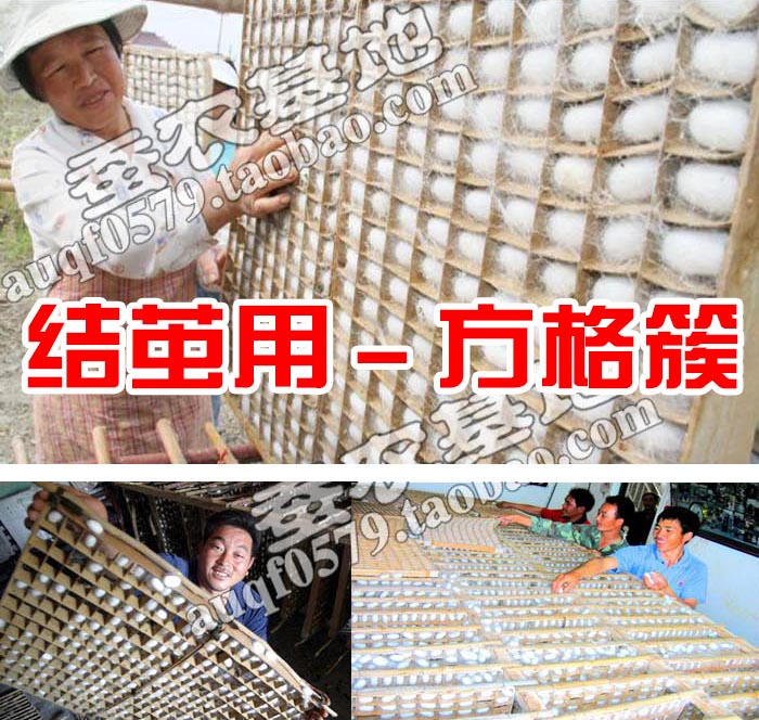 蚕宝宝方格簇纸簇干燥簇结茧吐丝纸格簇结茧网养桑蚕工具重复使用在类目 宠物/宠物食品及用品, 爬虫/鸣虫及其用品, 蚕宝宝中 - 来自Buy2taobao.com提供专业的淘宝代购服务