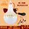 上下架计划:12V直流低压LED节能灯球泡36V48V60V夜市摆摊用太阳能灯泡
