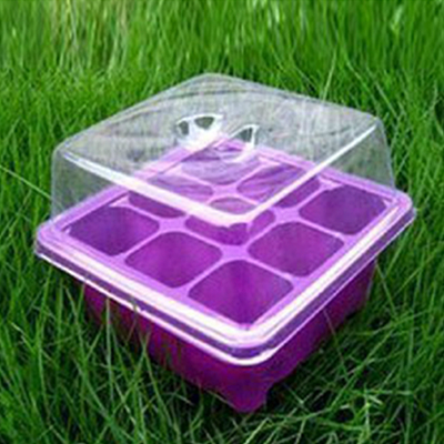 Transparent 9 hole 10 Hole 12 Hole nursery box Nursery box Three-piece Suite Vegetables Flower Seeds Seedling Basinin the Flower delivery/Flowers simulation/Plants gardening , Gardening supplies , Seedling tray/Nutritional bowl category - from Buy2taobao.com to provide professional Taobao agent buy service