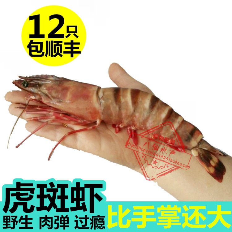 海鲜新鲜大虾野生虾鲜活对虾冷冻斑节虾野生竹节虾进口水产大虎虾在类目 水产肉类/新鲜蔬果/熟食, 海鲜/水产品/制品, 虾类, 冻虾中 - 来自Buy2taobao.com提供专业的淘宝代购服务