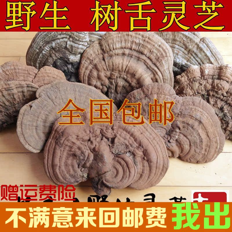 中药材正品 树舌灵芝 赤色老母菌 白斑腐菌 皂角菌500克58元包邮在类目 传统滋补营养品, 灵芝, 整枝灵芝中 - 来自Buy2taobao.com提供专业的淘宝代购服务