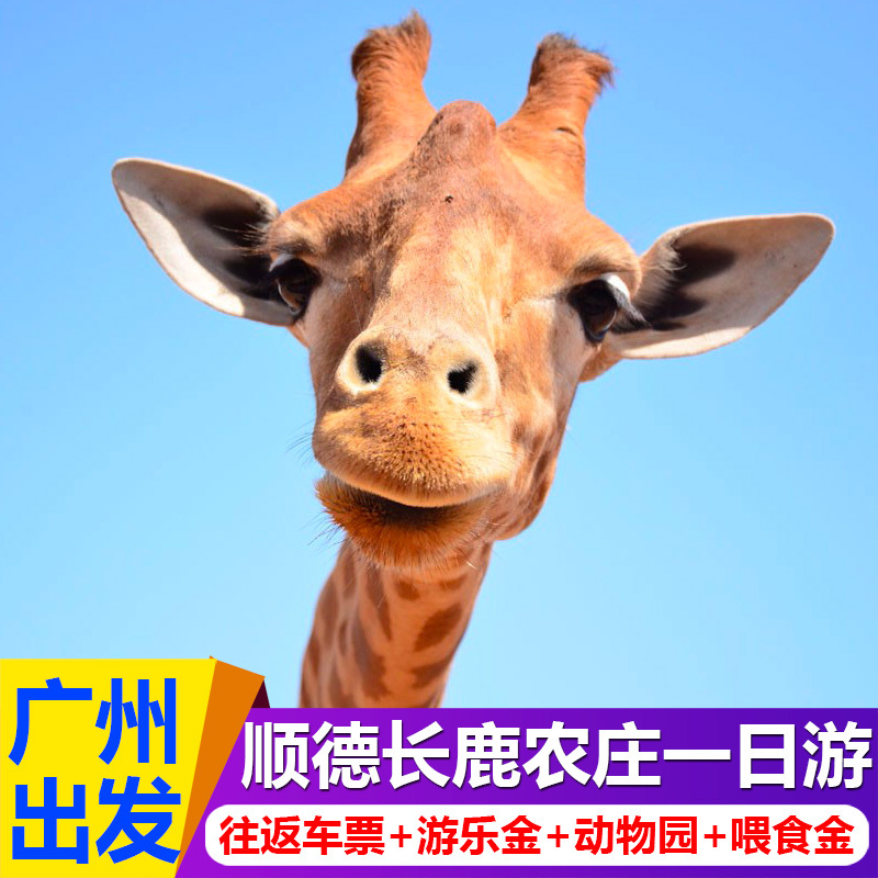 顺德长鹿农庄门票一日游含游乐金+动物园+往返车票长鹿旅游休博园|ruв категории праздник линий/отправить закрыть визы/служба туризма, свободной линии/с Миссией плавать, в стране с Миссией плавать - от Buy2taobao.com для оказания профессиональной услуги покупки агента Taobao