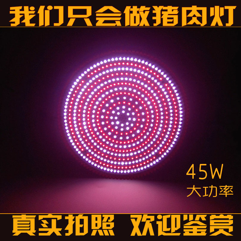 Led猪肉灯生鲜灯超市蔬菜灯市场生肉灯25W30W大功率45W节能灯正白在类目 家装主材, 光源, LED光源, LED单灯中 - 来自Buy2taobao.com提供专业的淘宝代购服务