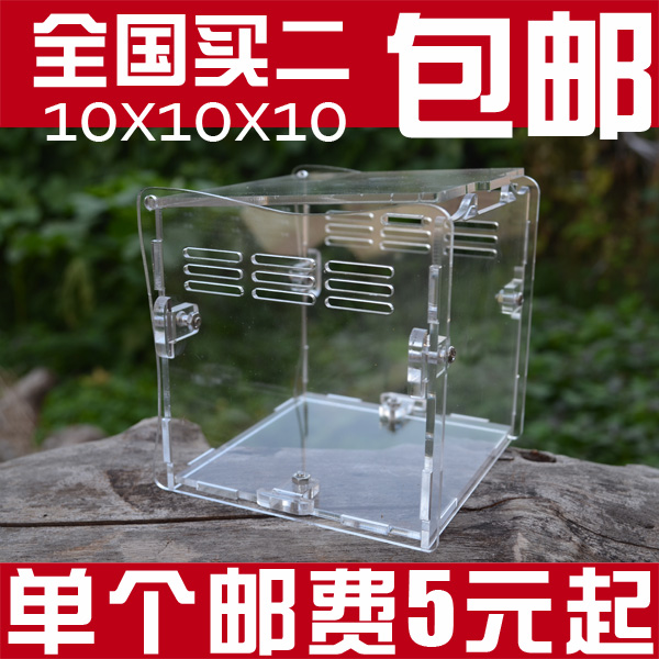 亞克力蜘蛛盒10x10x10 蜘蛛幼體飼養盒蠍子蜈蚣寵物箱 全國包郵在類目 寵物/寵物食品及用品, 爬蟲/鳴蟲及其用品, 蜘蛛中 - 來自Buy2taobao.com提供專業的淘寶代購服務