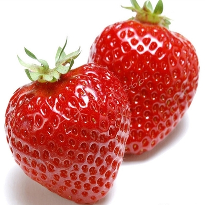 奶油白草莓种子 非转基因 阳台盆栽蔬菜蔬果种