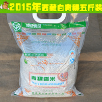 糖尿病患者科学食疗-调养全书 养生保健营养食