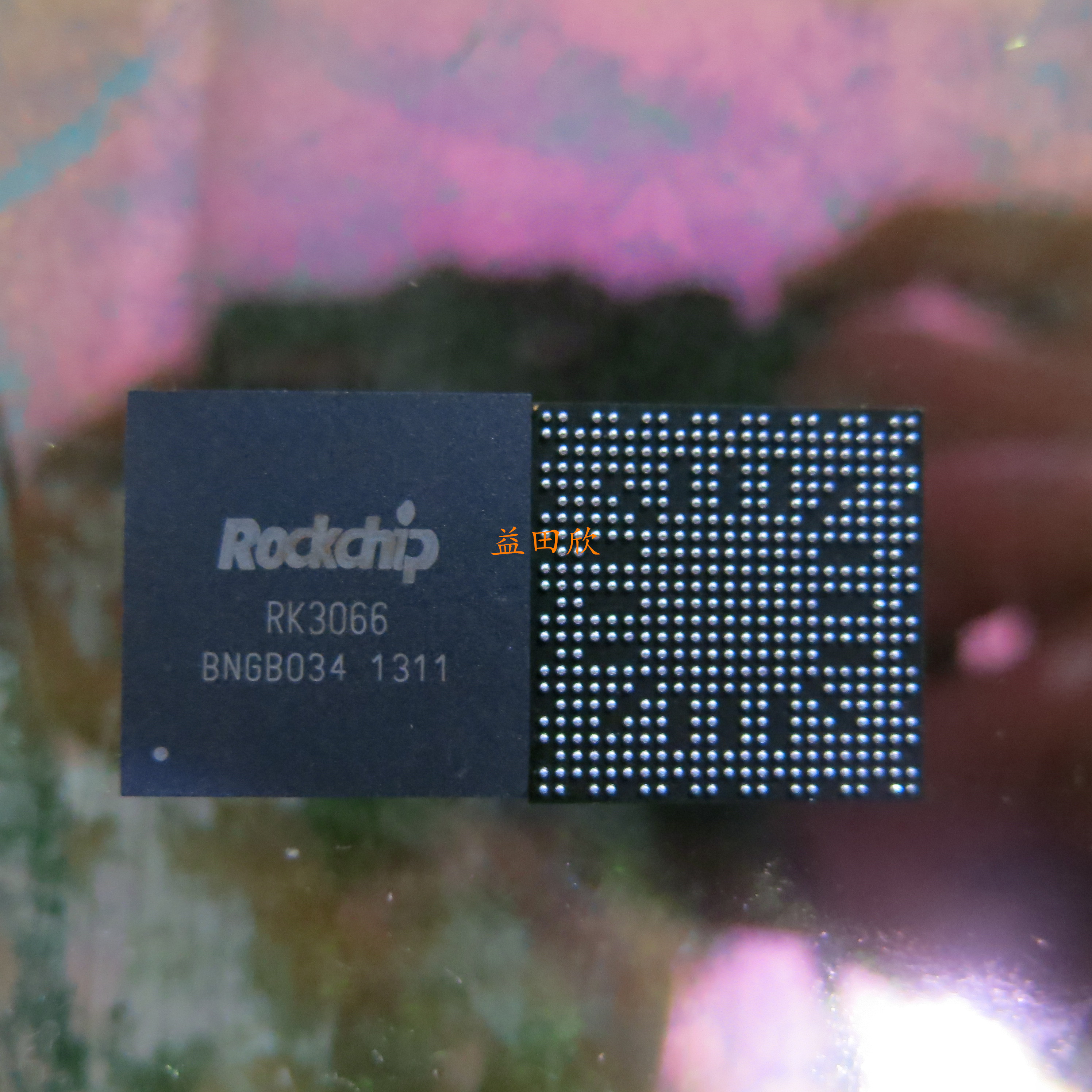 arsboard RK3066 ARM 双核 Cortex-A9 Linux 开