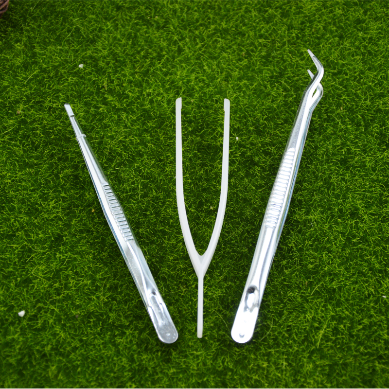 Shiwangyiguan Reptile Pet Supplies Iron forceps Iron clamps Flat Tweezerin the Pet/Pet food and supplies , Reptile/Insects and supplies Ming , Ant Mania category - from Buy2taobao.com to provide professional Taobao agent buy service