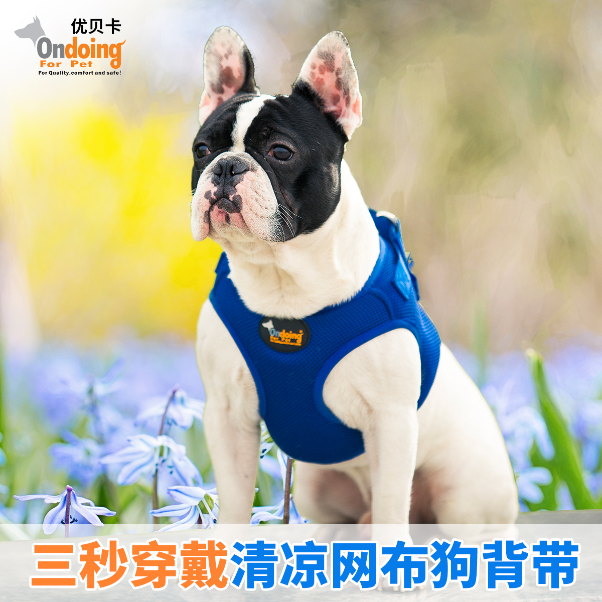 狗狗夏季轻薄牵引绳 狗背心式胸背带牵引绳 斗牛柯基犬大狗狗绳在类目 宠物/宠物食品及用品, 猫/狗日用品, 家用牵引带中 - 来自Buy2taobao.com提供专业的淘宝代购服务