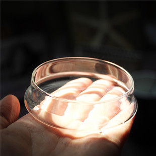 zakka创意水杯盖，通用马克杯陶瓷杯玻璃杯盖子，家居透明防尘盖