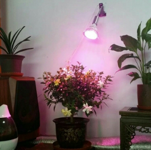 Spectrum Succulent Pachira Vegetables grow seedlings orchid Aquatic herb Flowering plants Grow Fill Light Dedicated Sunlampsin the Decoration main material , Lamps , Functional lamps and lanterns, Grow Light category - from Buy2taobao.com to provide professional Taobao agent buy service