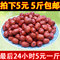 上下架计划:红枣 2014新枣沧州特产 金丝小枣特级500g枣子特价5元每斤仅一天