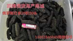 俄罗斯淡干海参 大红参6排刺20-30头500g 纯淡