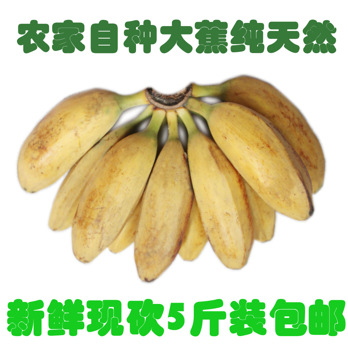 【现摘广西大芭蕉大牛蕉新鲜水果酸甜大蕉非粉蕉香蕉皇帝蕉5斤装|msdalam kategori daging perikanan/Buah-buahan segar dan sayur-sayuran/dimasak, buah-buahan segar, pisang - dari Buy2taobao.com untuk memberikan perkhidmatan ejen Taobao profesional membeli