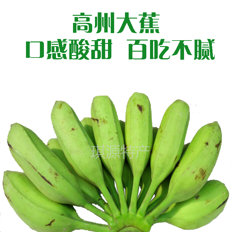 广东高州芭蕉大蕉plantain新鲜水果无催熟剂产地直发包邮3斤装在类目 水产肉类/新鲜蔬果/熟食, 新鲜水果, 其它中 - 来自Buy2taobao.com提供专业的淘宝代购服务