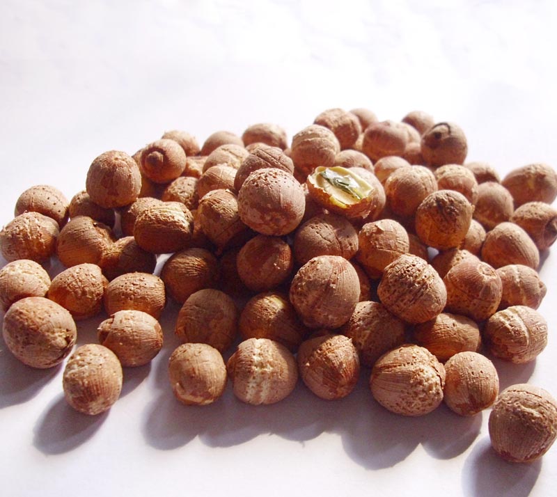 Honghu Wild lotus seed Redskins lotus Orthodox school Honghu Red lotus Natural sulfur free fumigationin the Agri rice/Dried foods/Condiment , Dried foods/Meat Dry , Dry/Native , Lotus category - from Buy2taobao.com to provide professional Taobao agent buy service
