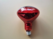 红外线理疗防爆灯泡，150w275w美发美容灯泡烘干烫发汽车装饰灯泡