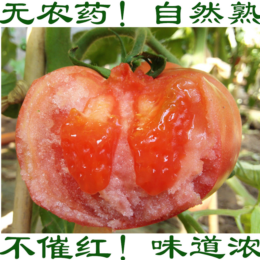 北京时令蔬菜红番茄西红柿新鲜 沙瓤大番茄自然熟番茄农家蔬菜在类目 水产肉类/新鲜蔬果/熟食, 新鲜蔬菜/蔬菜制品, 新鲜蔬菜, 番茄中 - 来自Buy2taobao.com提供专业的淘宝代购服务
