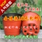 上下架计划:塑料花盆 双色花盆 双色盆 育苗盆 摔不坏的花盆花盆批发花盆包邮