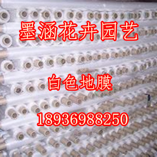 塑料薄膜農用白色地膜黑色除草地膜草莓專用黑色地膜果樹苗保溫膜在類目 農機/農具/農膜, 農膜/篷布/遮網/大棚, 農用薄膜中 - 來自Buy2taobao.com提供專業的淘寶代購服務