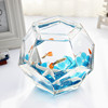 奇艺家居个性玻璃鱼缸创意斗鱼缸孔雀鱼缸桌面小鱼缸高白透亮玻璃