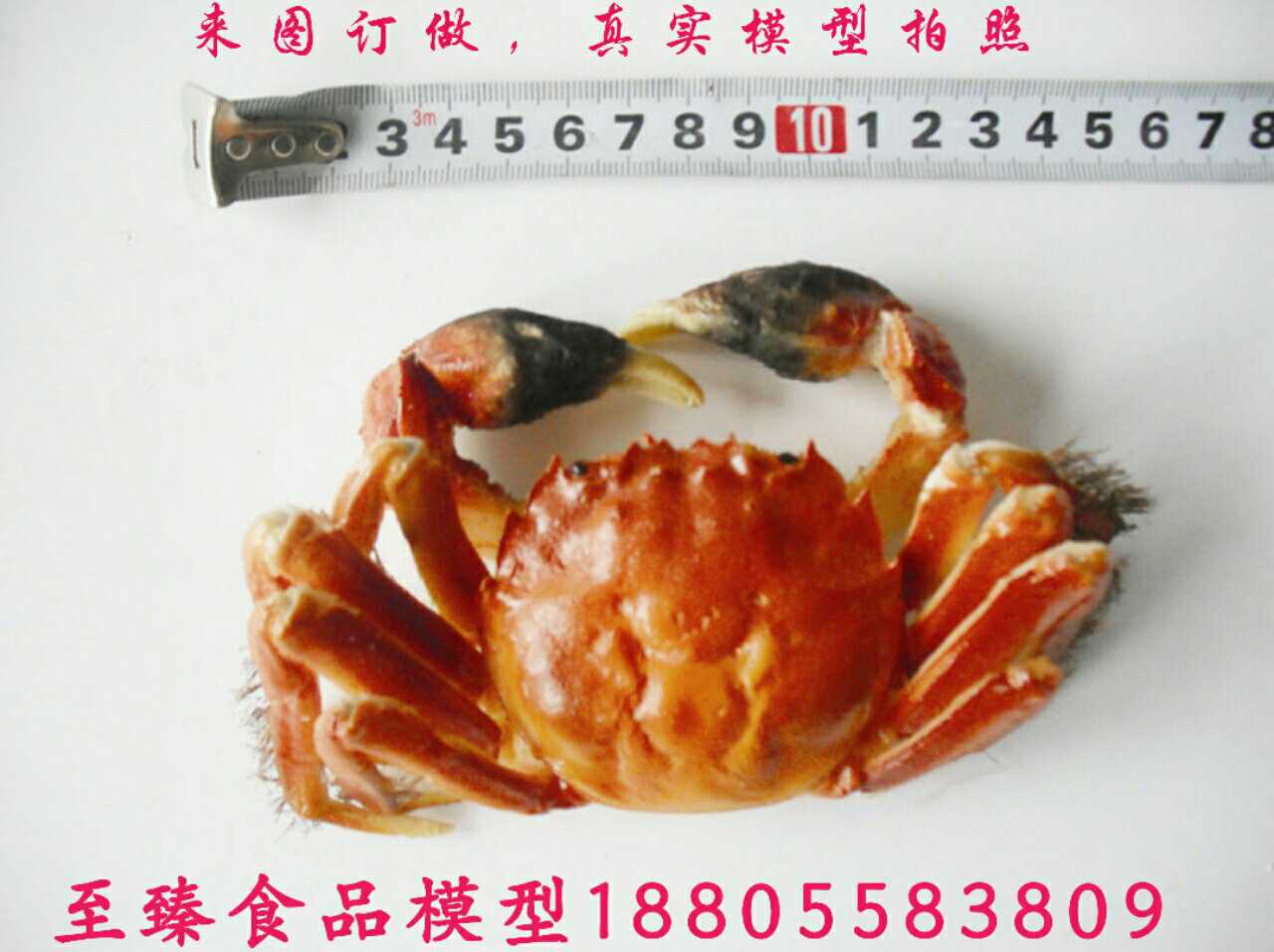 新品仿真大闸蟹模型 仿真河蟹模型 仿真清蒸大闸蟹 食品模型 订做|msdalam kategori Toy/bayi/teka-teki/blok bangunan/model, simulasi/Bermain mainan rumah, Simulasi buah-buahan dan sayur-sayuran/makanan - dari Buy2taobao.com untuk memberikan perkhidmatan ejen Taobao profesional membeli