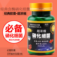 细菌进口硝化细菌干粉-体硝化菌鱼缸净水菌调