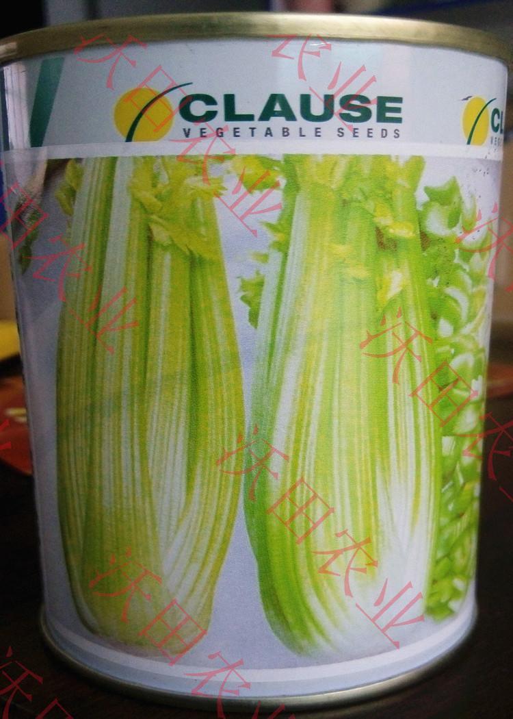 进口西芹种子法国皇后芹菜种籽实芹香芹抗病高产阳台四季蔬菜包邮在类目 鲜花速递/花卉仿真/绿植园艺, 花卉/蔬果/草坪种子(新), 家庭园艺种子中 - 来自Buy2taobao.com提供专业的淘宝代购服务