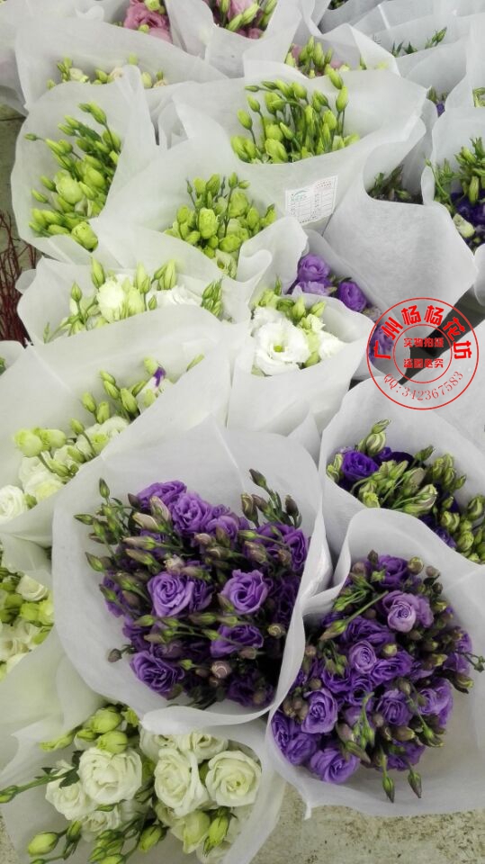公主洋桔梗进口郁金香绣球红豆火龙珠绿豆相思梅石竹梅顺丰包邮|ruв категории доставка цветов/цветок моделирования/растения садоводства, доставка цветов (город) - от Buy2taobao.com для оказания профессиональной услуги покупки агента Taobao